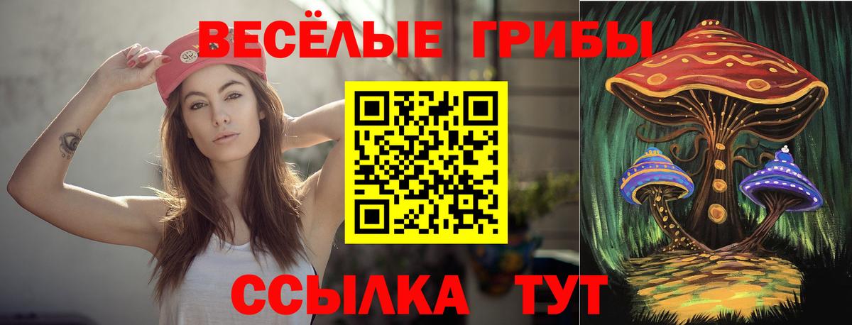 Галлюциногенные грибы Psilocybe Кохма